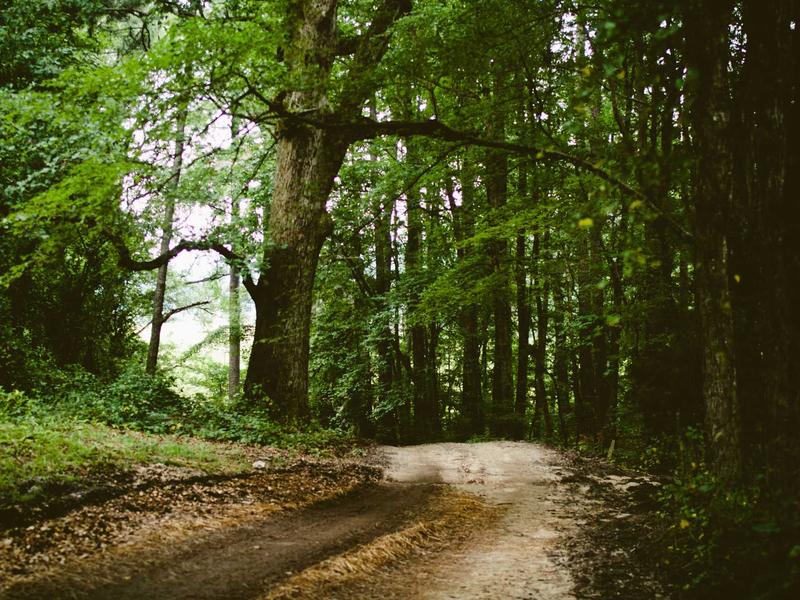 sudoku logic solving screenshot 2